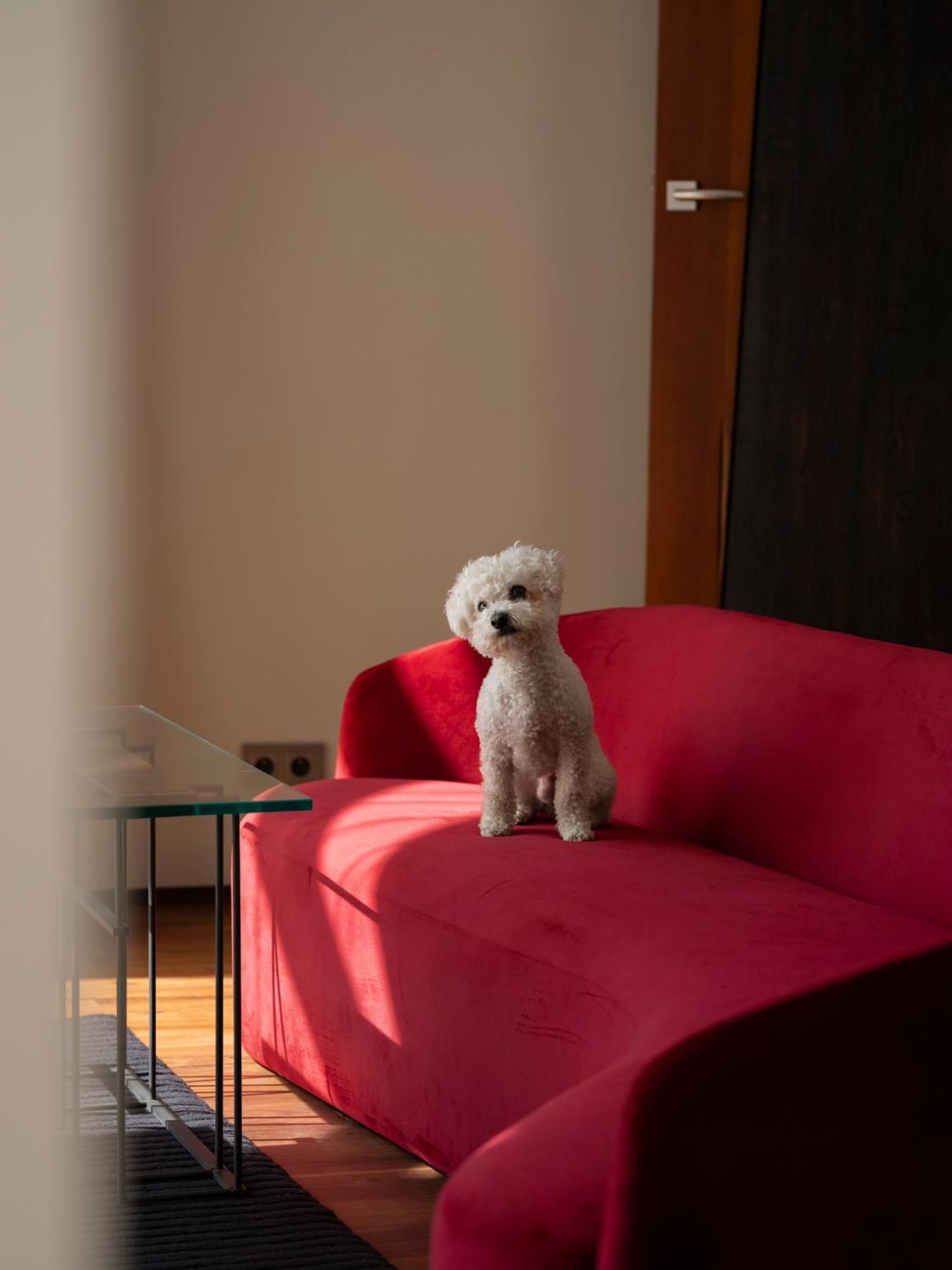 Hotel Monopol วรอตซวาฟ ภายนอก รูปภาพ A Bolognese